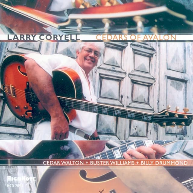 Cedars of Avalon - Larry Coryell