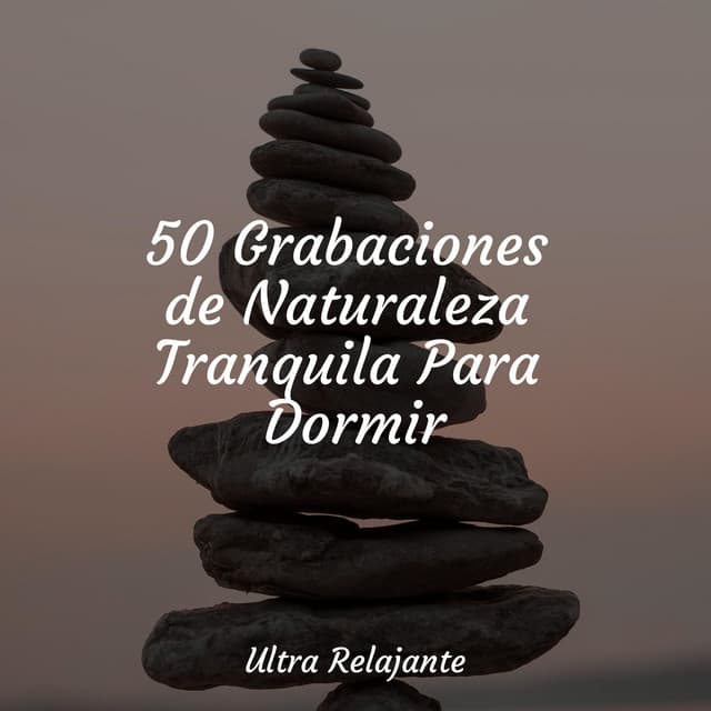 50 Grabaciones de Naturaleza Tranquila Para Dormir - Meditação Zen