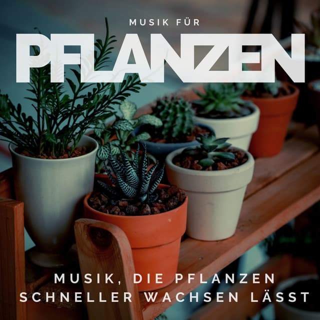 Musik für Pflanzen – Musik, die Pflanzen schneller wachsen lässt - Erste Genesis