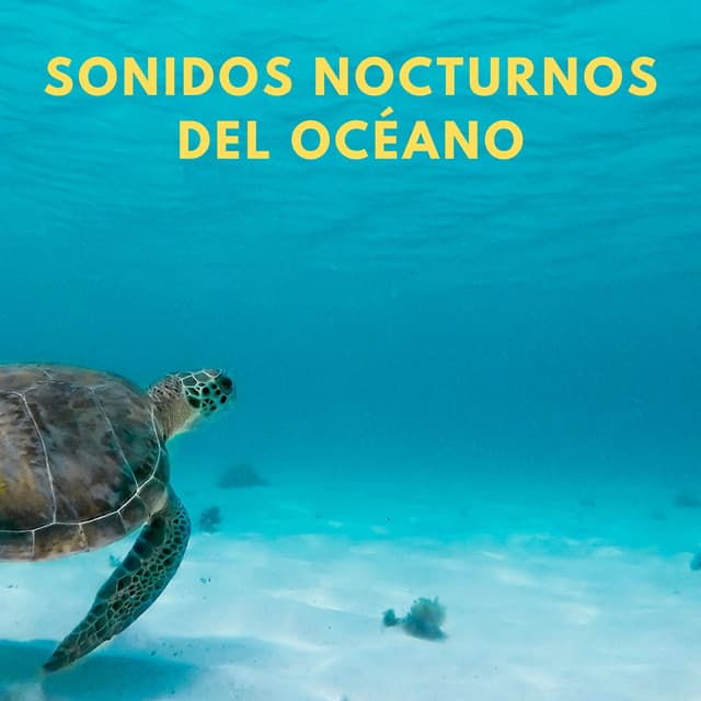 Sonidos Nocturnos Del Océano - Sueño de las olas del océano