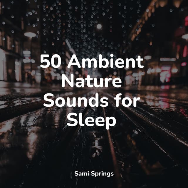 50 Ambient Nature Sounds for Sleep - Big Sounds