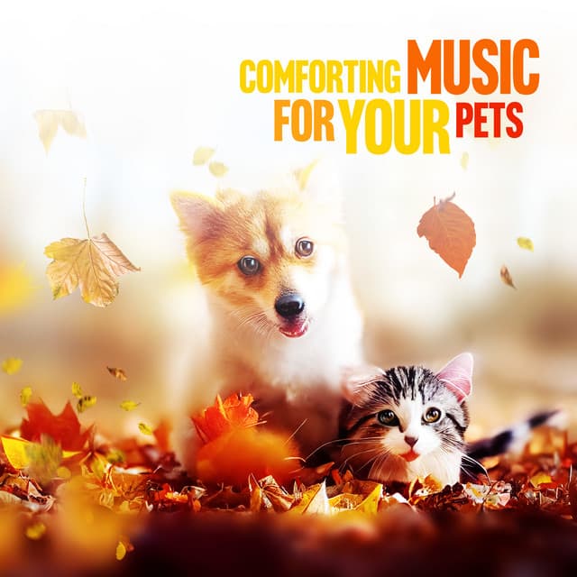 Comforting Music for Your Pets: Dog and Cat Friendly Music - Thanael Wendtura