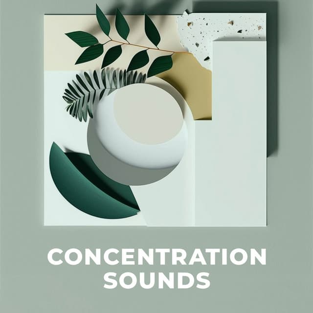 Concentration Sounds - Work Music