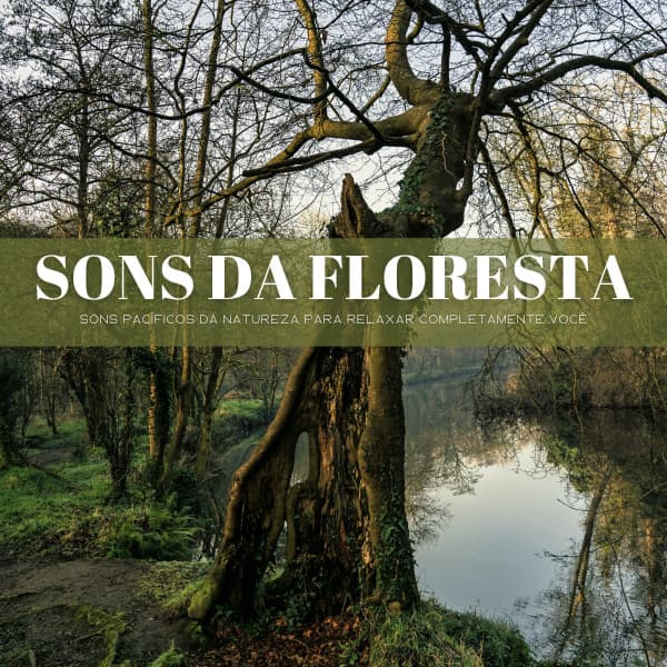 Sons Da Floresta: Sons Pacíficos Da Natureza Para Relaxar Completamente Você - Música Para Cães Adormecidos