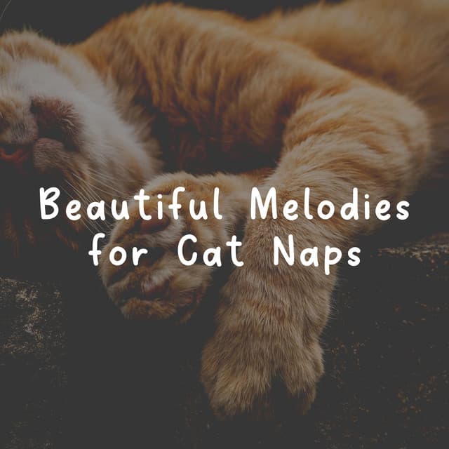 Beautiful Melodies for Cat Naps - Cat Music