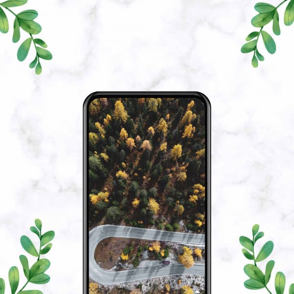 Jazz with Strings - Music for Spring Rest - Calme Ambiance Jazz