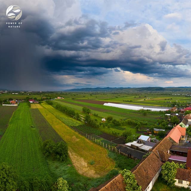 Soothing Summer Rain In The Village - Tamera