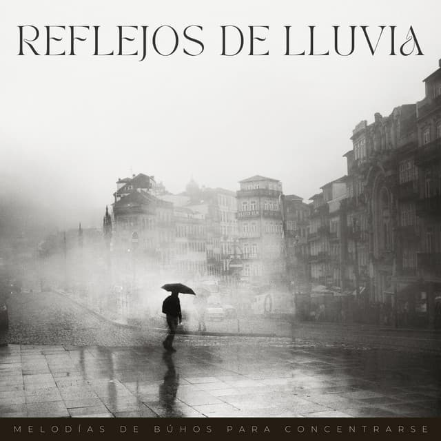 Reflejos De Lluvia: Melodías De Búhos Para Concentrarse - Lloviendo Relajante