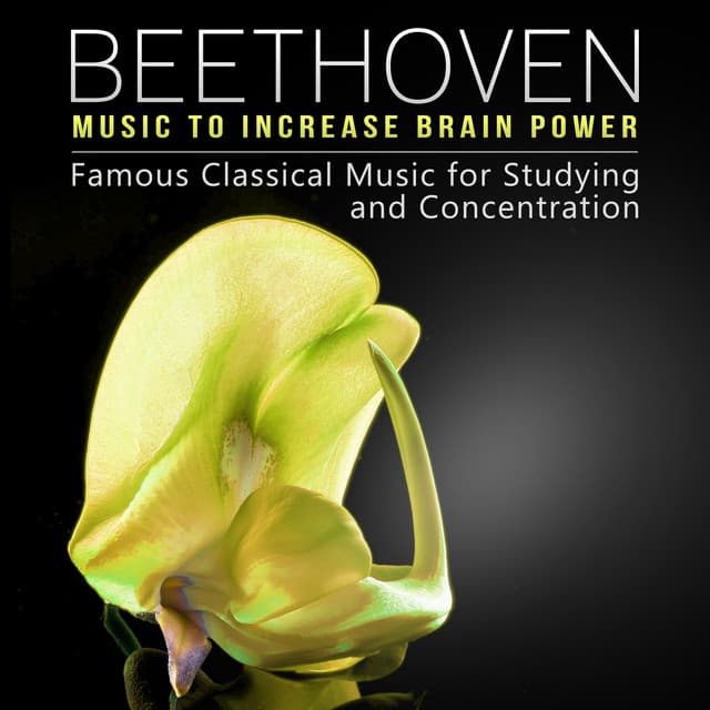 Beethoven Music to Increase Brain Power - Famous Classical Music for Studying and Concentration, Deep Relaxation, Meditation & Effective Learning - Ludwig van Beethoven