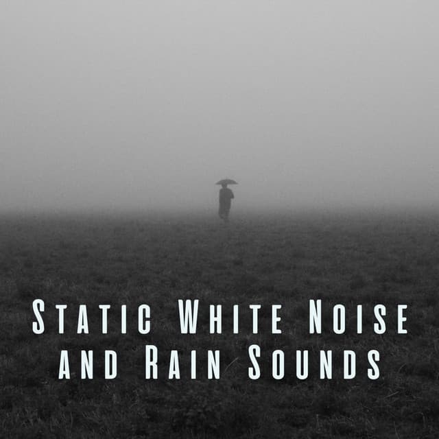 Static White Noise and Rain Sounds - Rain Sounds & Nature Sounds