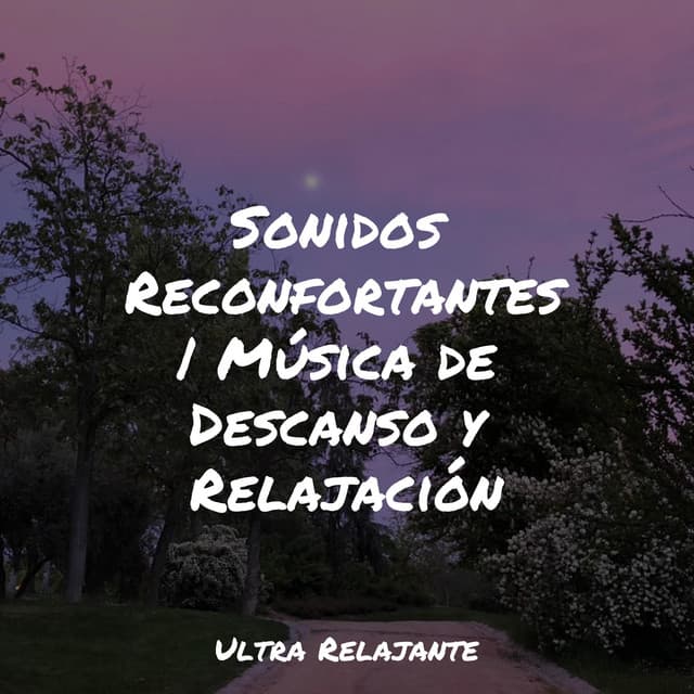 Sonidos Reconfortantes | Música de Descanso y Relajación - Musica Para Dormir