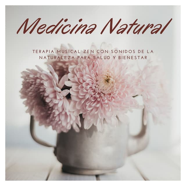 Medicina Natural: Terapia Musical Zen con Sonidos de la Naturaleza para Salud y Bienestar - Musica Tranquila Maestro