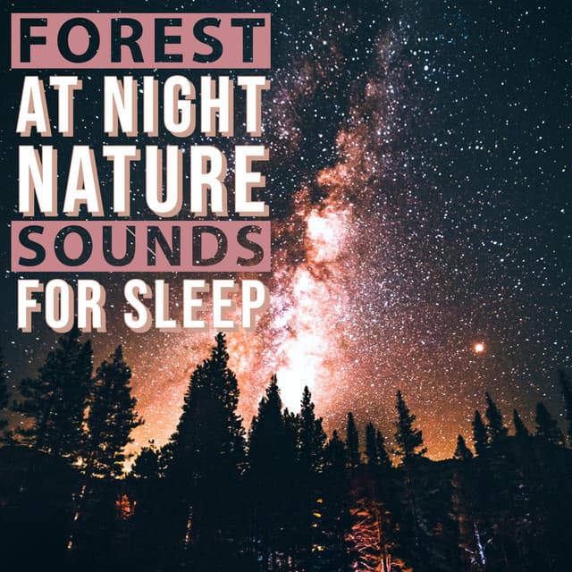 Forest at Night - Nature Sounds for Sleep - Natural Sound Makers