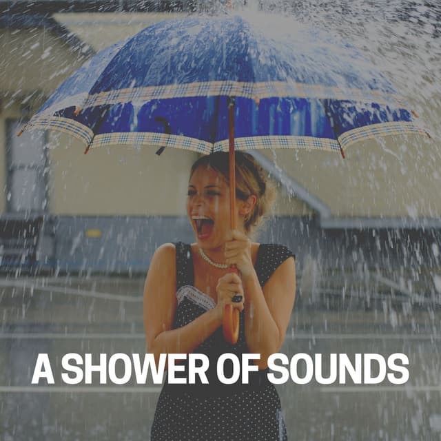 A Shower of Sounds - 24H Rain Sounds