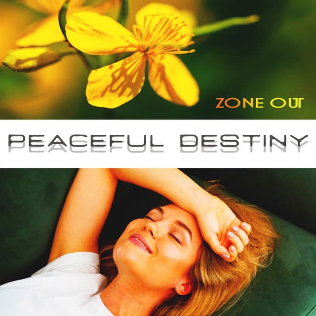 Peaceful Destiny - Zone Out