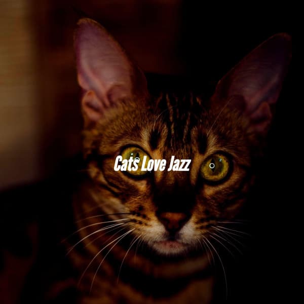Cats Love Jazz - Fresh Jazz Cuts
