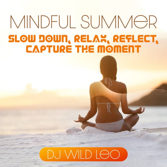 Mindful Summer: Slow Down, Relax, Reflect, Capture the Moment - DJ Wild Leo