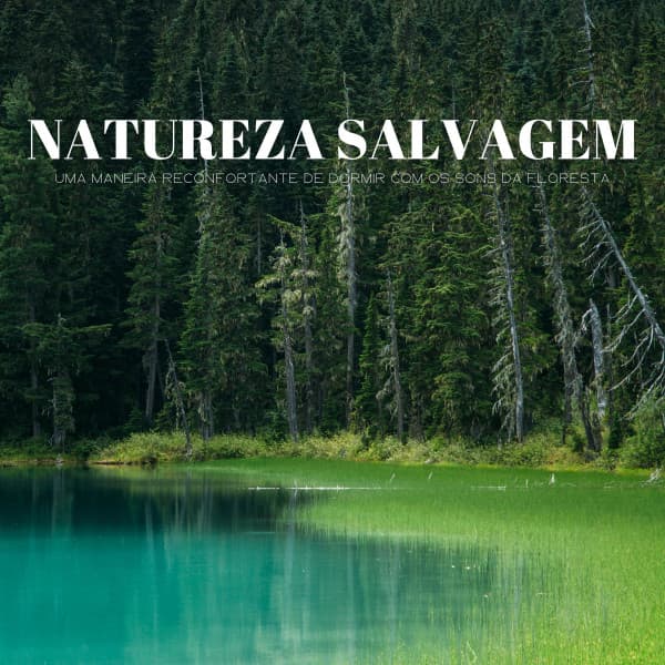 Natureza Salvagem: Uma Maneira Reconfortante De Dormir Com Os Sons Da Floresta - 1 Hora de Meditação