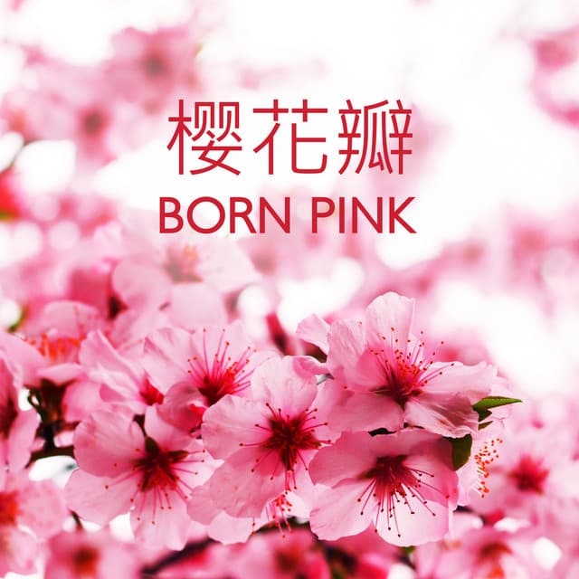樱花瓣 - Born Pink - Sakura Season さくら