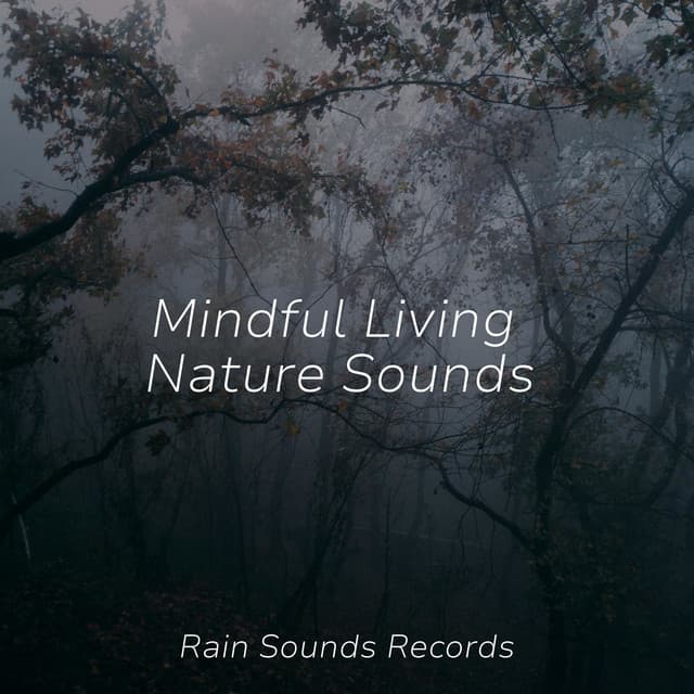 Mindful Living Nature Sounds - Rain Sound Studio