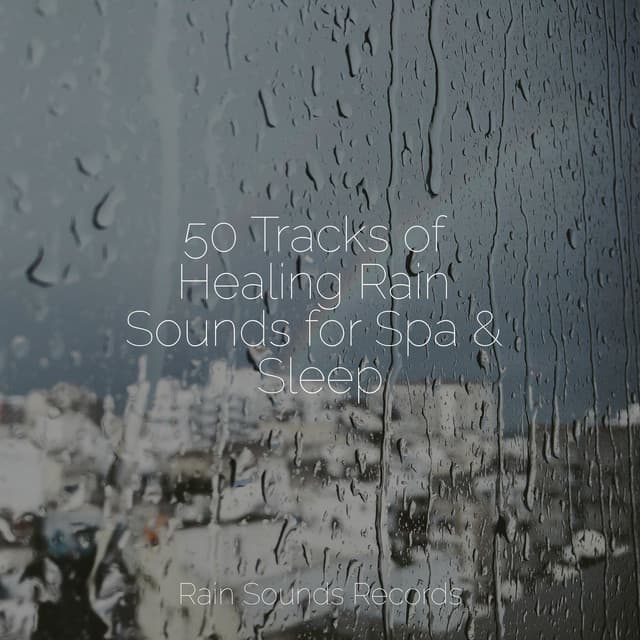 50 Tracks of Healing Rain Sounds for Spa & Sleep - Nature Sound Collection