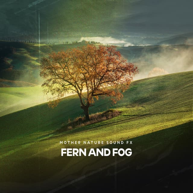 Fern and Fog - Mother Nature Sound FX