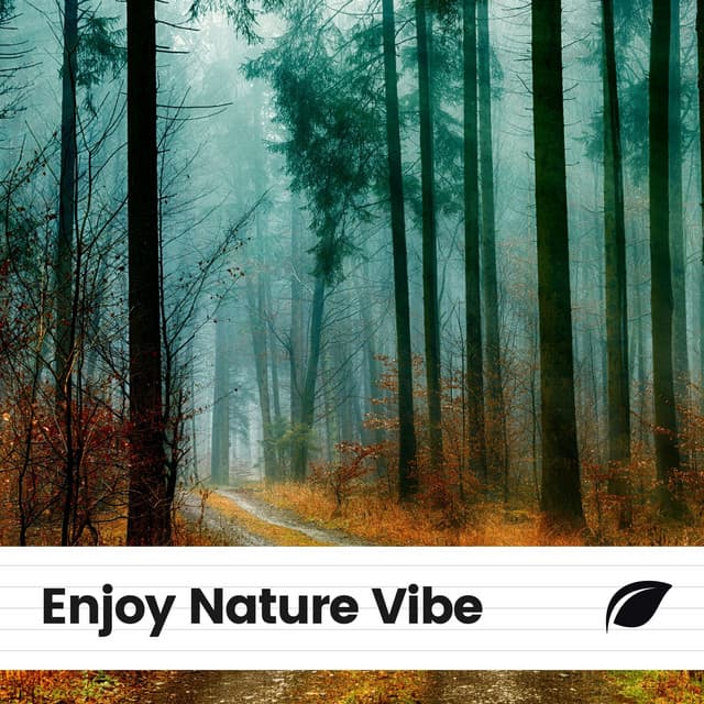Enjoy Nature Vibe - Organic Sound
