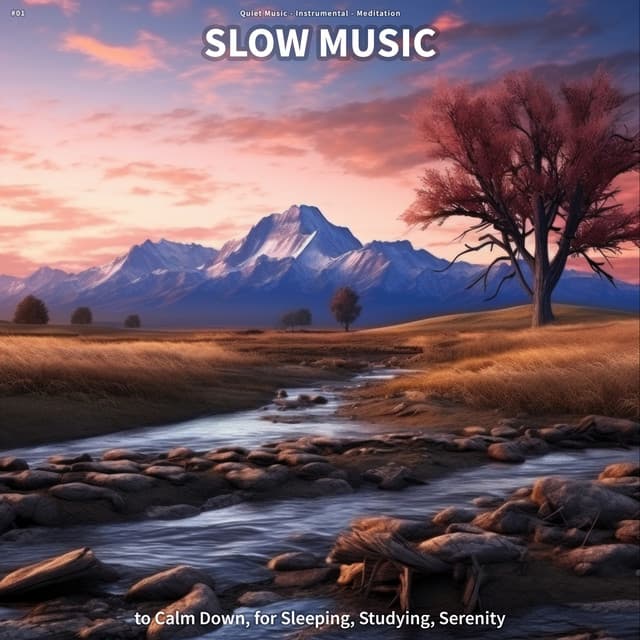 #01 Slow Music to Calm Down, for Sleeping, Studying, Serenity - Quiet Music