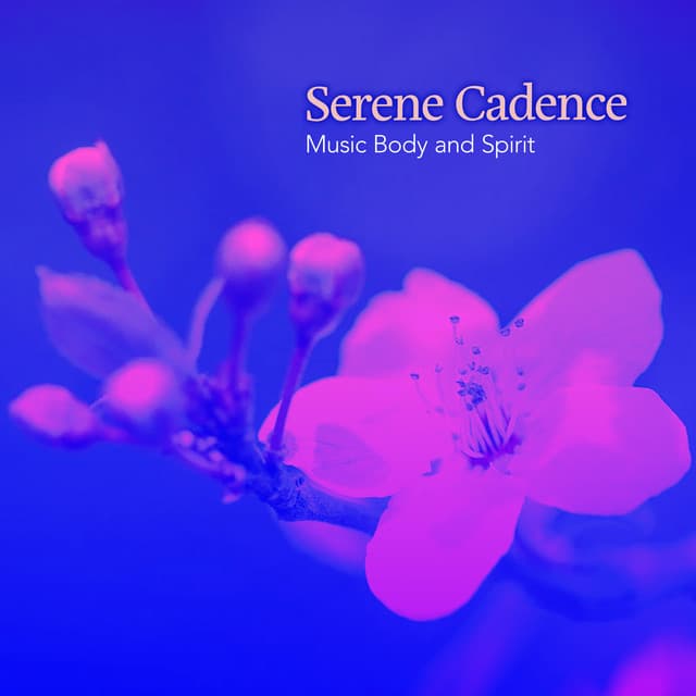 Serene Cadence - Music Body and Spirit