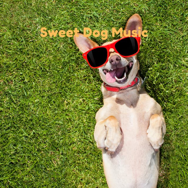 Sweet Dog Music - Pet Music Therapy