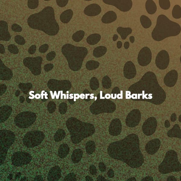 Soft Whispers, Loud Barks - Soft Alternative Lounge Jazz