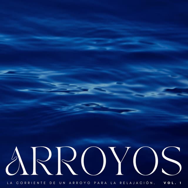 Arroyos: La Corriente De Un Arroyo Para La Relajación Vol. 1 - Camino del agua