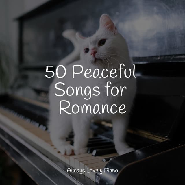 50 Blissful Piano Tracks - Concentration Study
