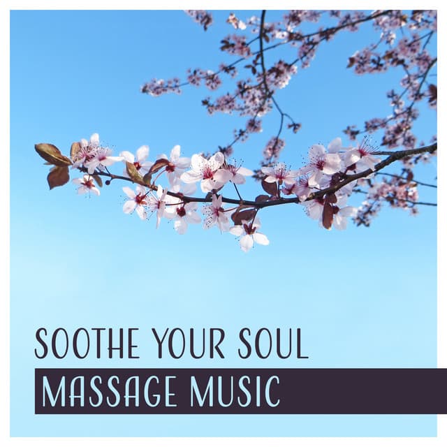 Soothe Your Soul - Mira Halden