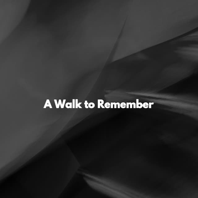 A Walk to Remember - Musica Jazz Instrumental