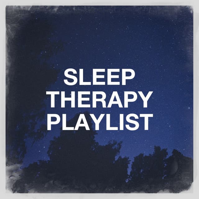 Sleep Therapy Playlist - Oasis de Détente et Relaxation