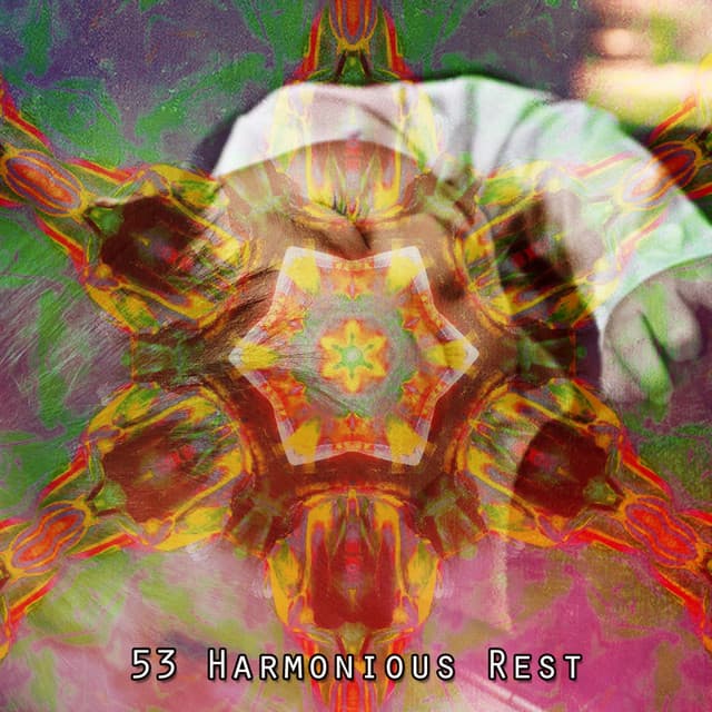 53 Harmonious Rest - Sleep Music System