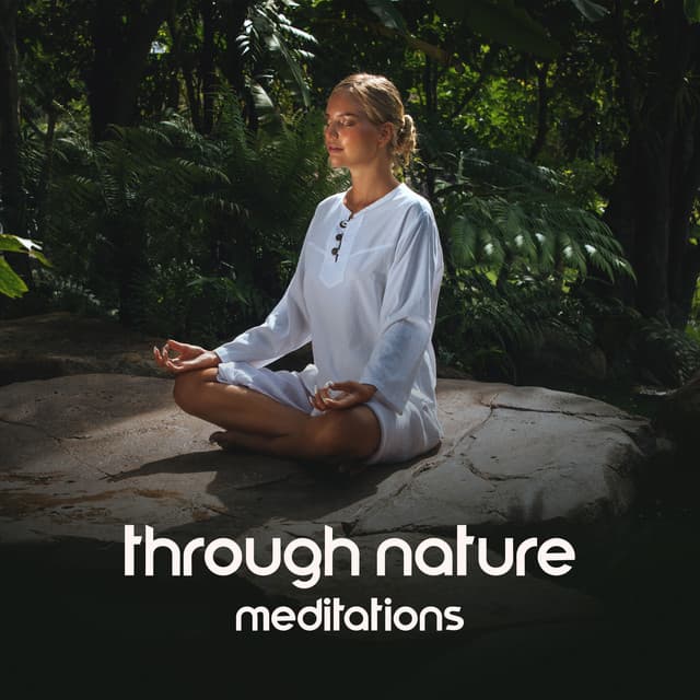 Through Nature Meditations - Universe of Nature Orchestra