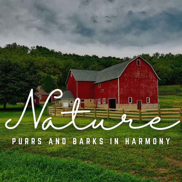 Purrs and Barks in Harmony: Sound Waves - Pet Music World