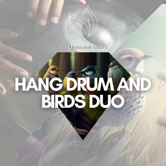 Hang Drum and Birds Duo - Hang Drum and Nature
