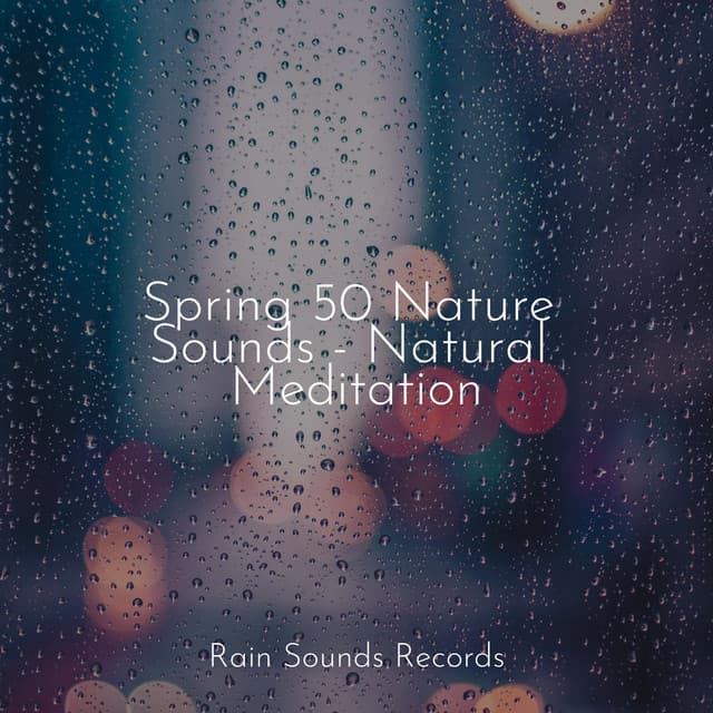 Spring 50 Nature Sounds - Natural Meditation - Sonidos De Truenos y Lluvia