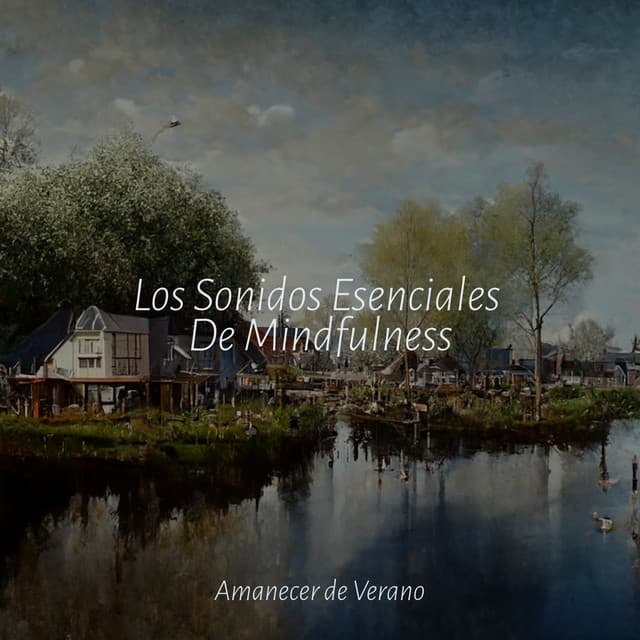 Los Sonidos Esenciales De Mindfulness - Musica Para Estudiar Academy