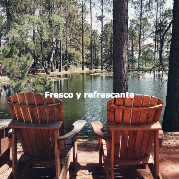 Fresco y refrescante - Happy Sunday Morning Music