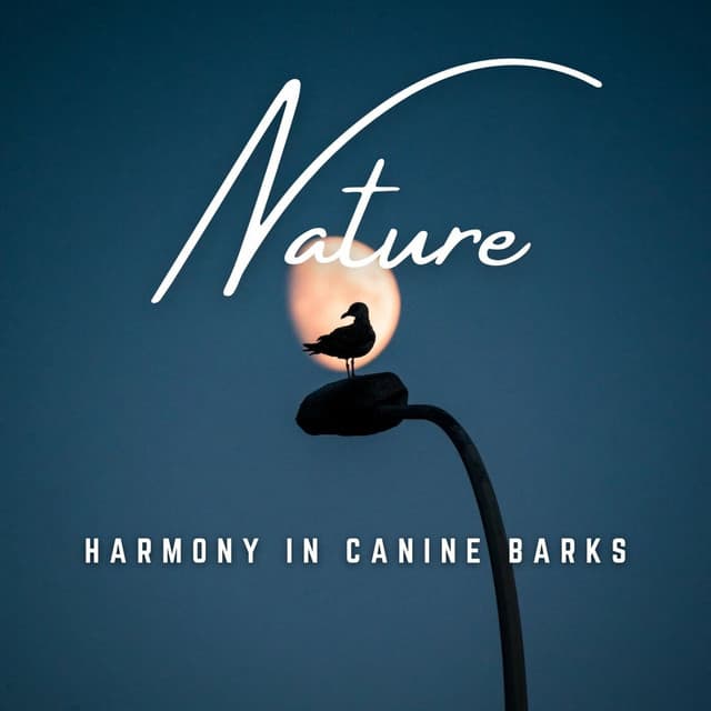 Bark in Harmony: Tranquil Serenades - Relaxing Music for Dogs