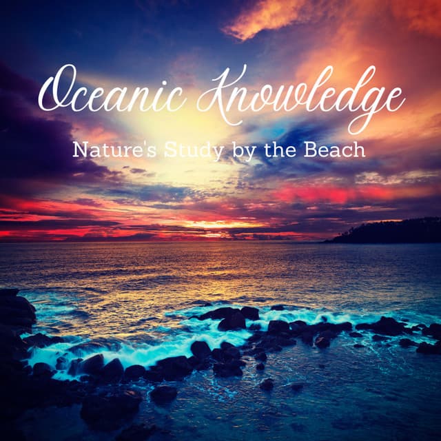 Oceanic Knowledge: Nature's Study by the Beach - Sound and Waves