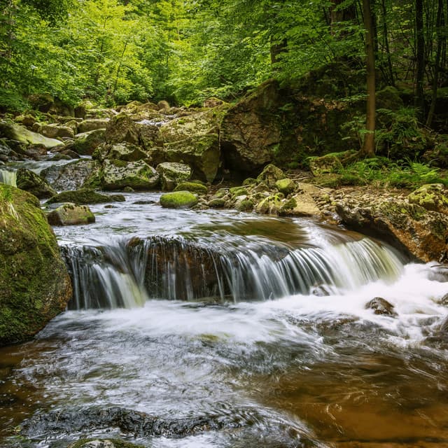 Serene Stream: Calming Water Oasis - Calming Sounds