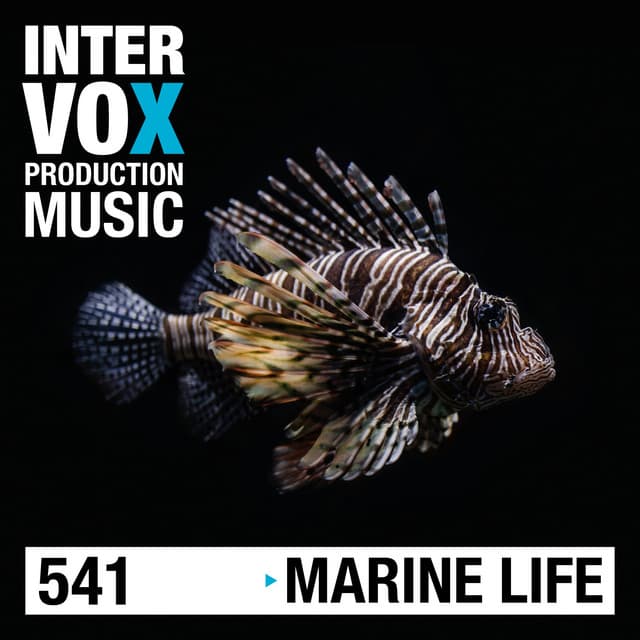 Marine Life - Michael Werner Maas