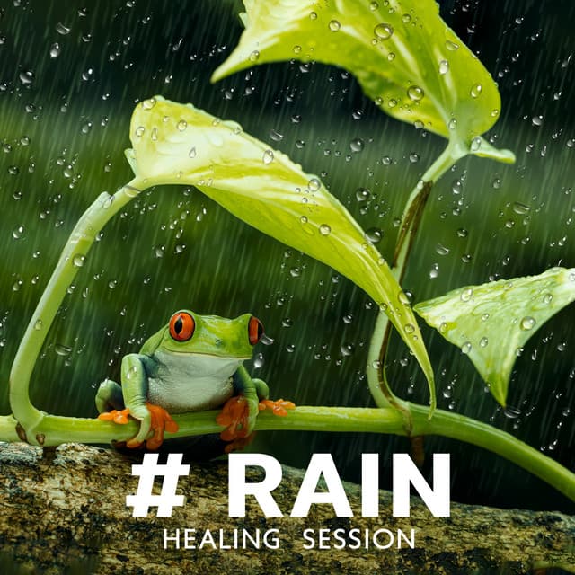 # Rain: Healing Session - Zoe River