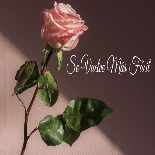 Se Vuelve Más Fácil - Música Instrumental Maestro