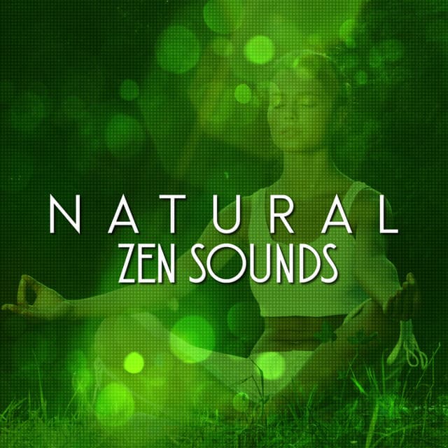 Natural Zen Sounds - Ambient Nature Sounds